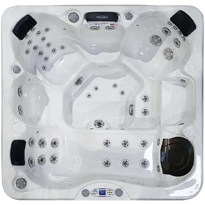 Avalon EC-849L hot tubs for sale in Catharpin