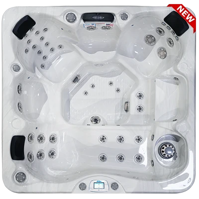 Avalon-X EC-849LX hot tubs for sale in Catharpin