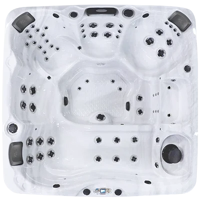 Avalon EC-867L hot tubs for sale in Catharpin
