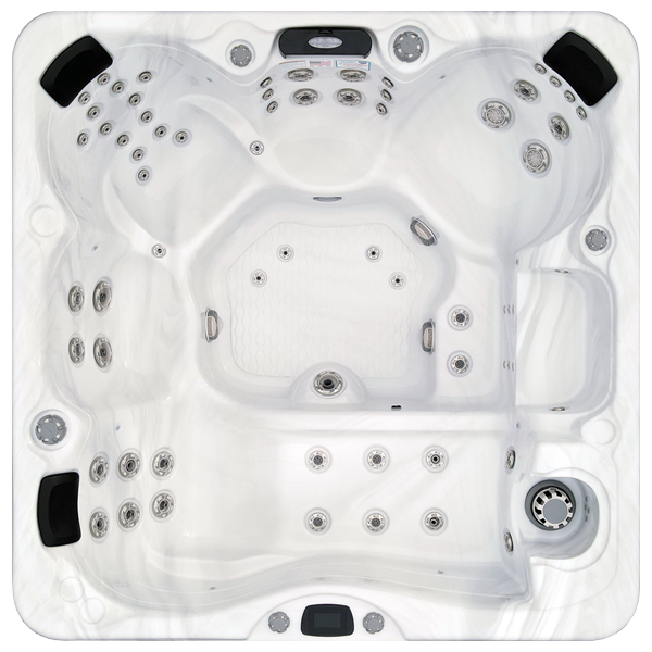 Avalon-X EC-867LX hot tubs for sale in Catharpin